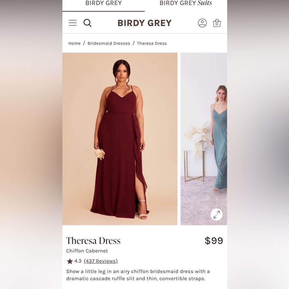 Birdy Grey Cabernet Chiffon Gown